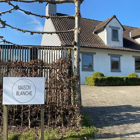 B&B Maison Blanche Gent Eksteriør billede