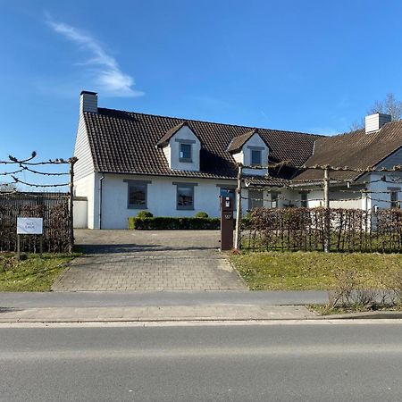 B&B Maison Blanche Gent Eksteriør billede