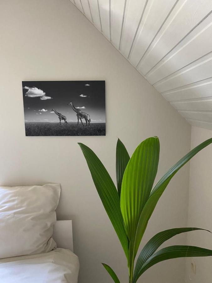 B&B Maison Blanche Gent Eksteriør billede