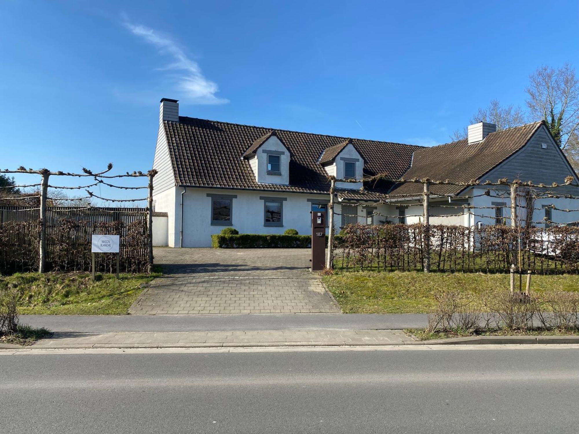B&B Maison Blanche Gent Eksteriør billede